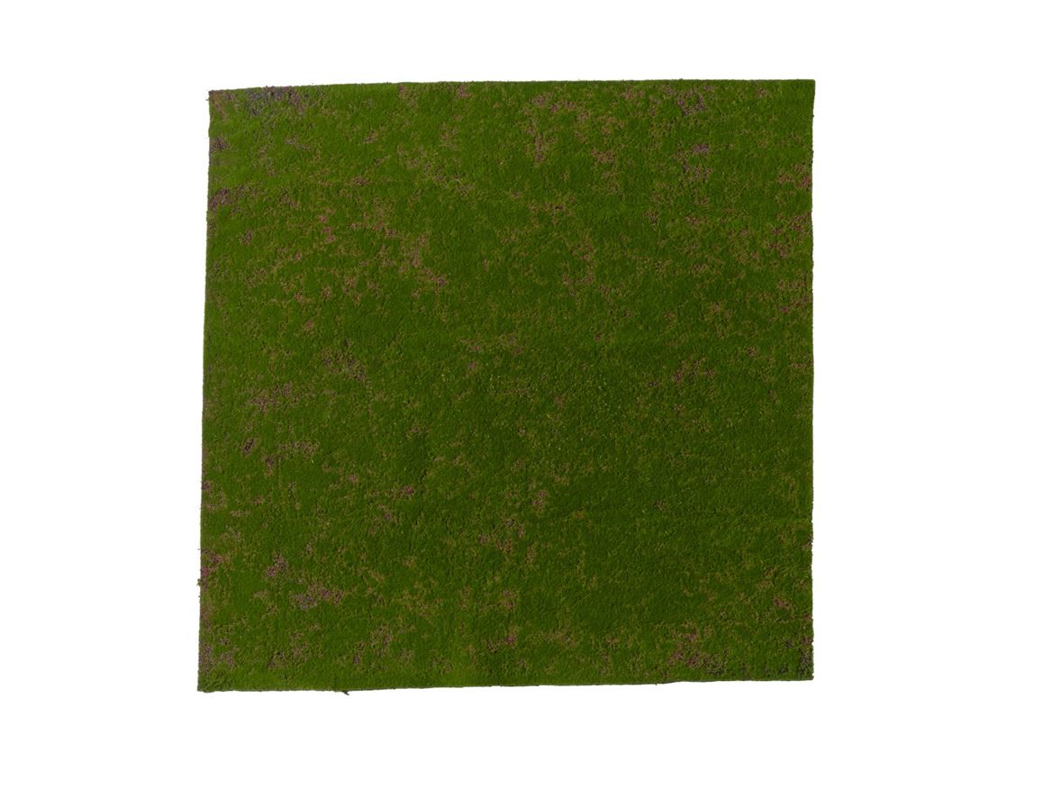 Art. Tappeto Muschio Liscio 100x100cm - Green
