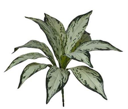 Art. Mazzo V Aglaonema X9 Cm35 Green