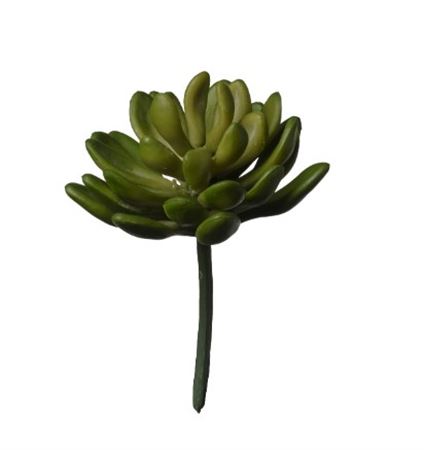 Art. Ramo Pianta Grassa Cm11 Green