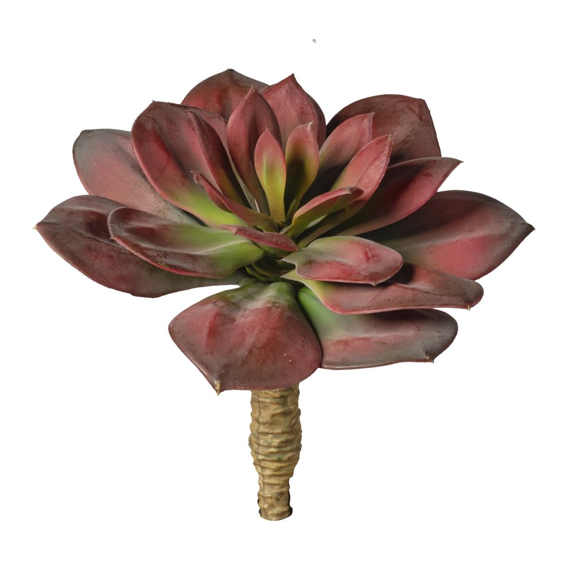 Art. Ramo Pianta Grassa Sg. Cm 22 - Red Burgundy