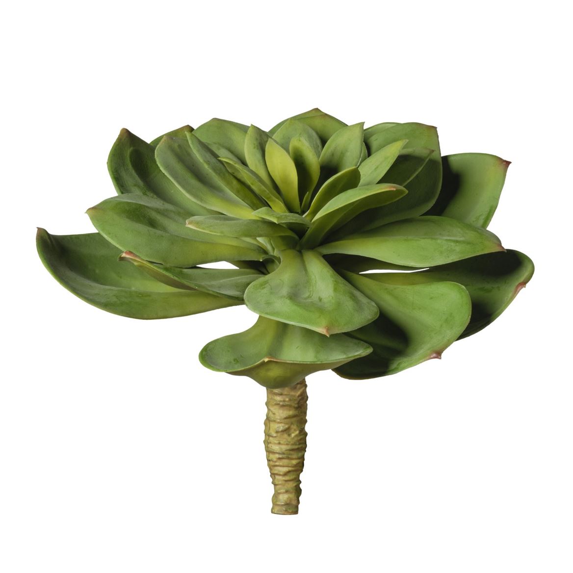 Art. Ramo Pianta Grassa Cm25 - Green