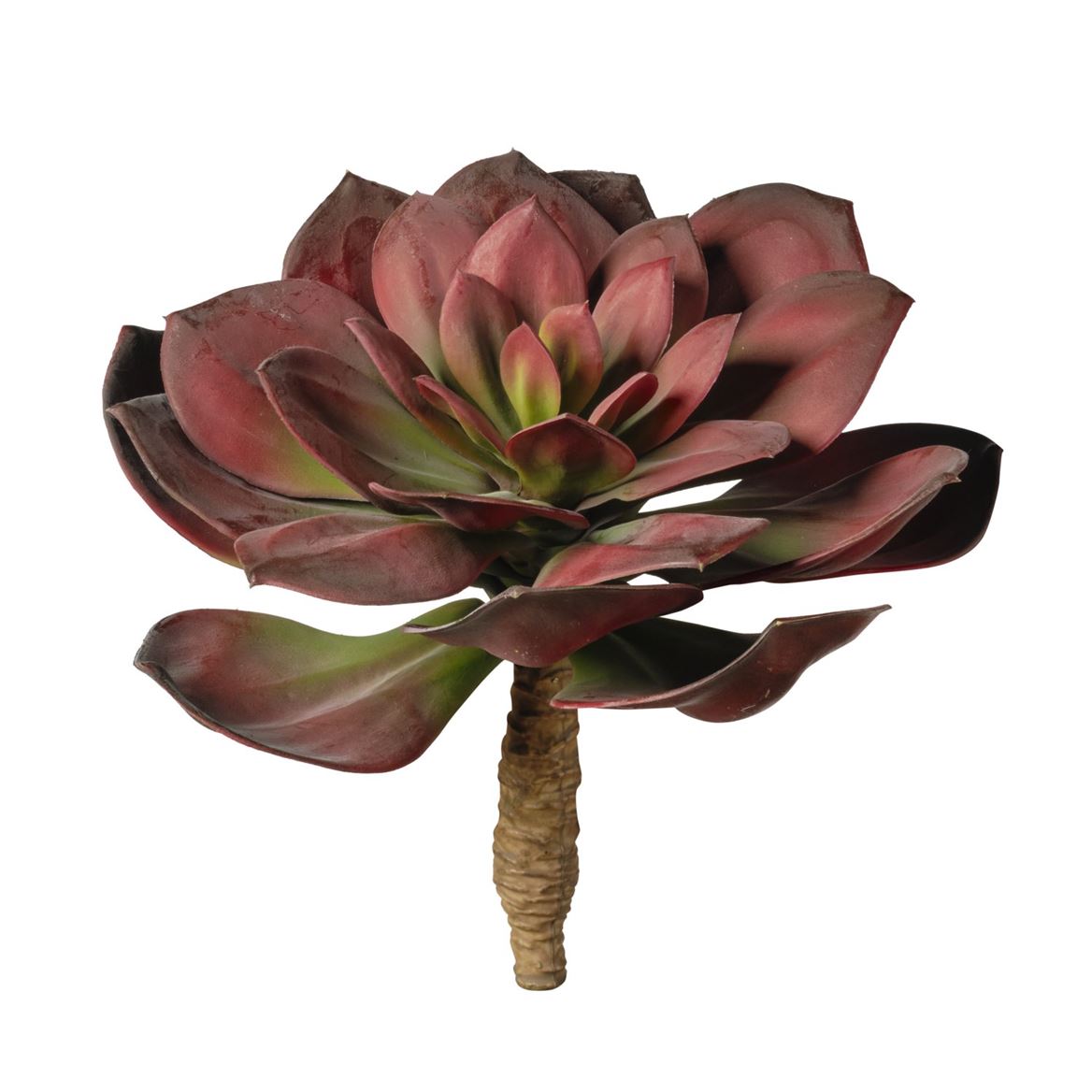 Art. Ramo Pianta Grassa Cm25 - Red-burgundy
