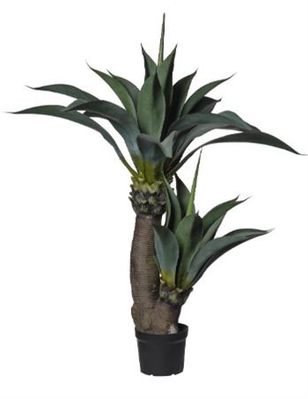Art. Pianta Agave X2 Cm140 In Vaso