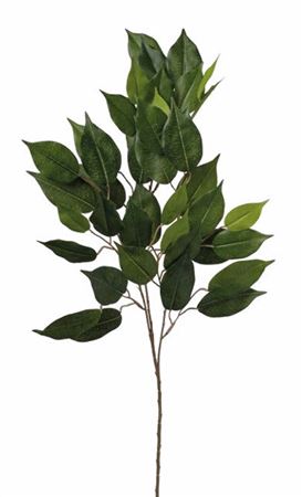 Art. Ramo Ficus X42 71cm Green