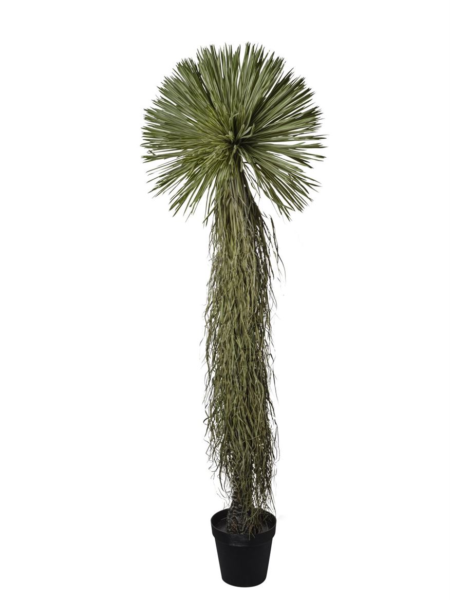 Art. Pianta Yucca 150cm Real Touch