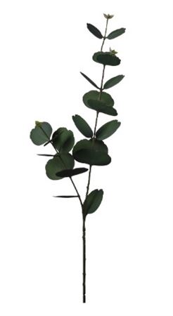 Art. Ramo Eucalipto X2 Cm13x13x75 Green