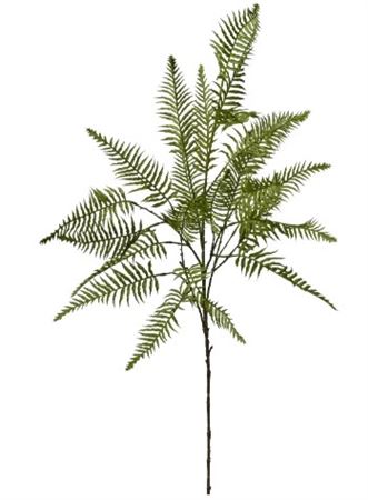 Art. Ramo Felce Cm32x111 C-23foglie Green