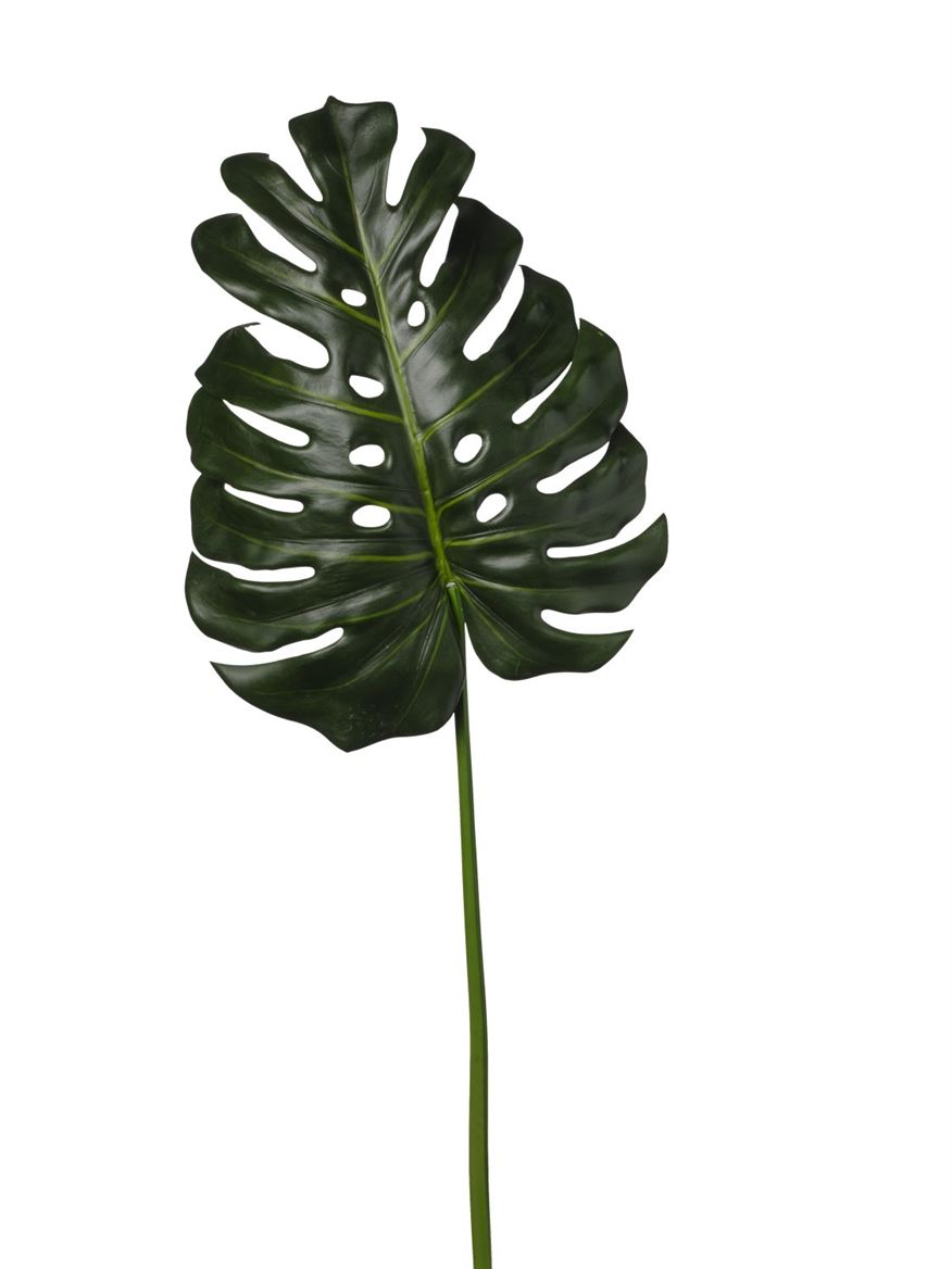 Art. Foglia Monstera 37x103cm - Green
