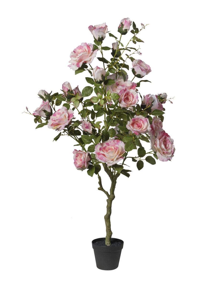 Art. Pianta Rose X27 In Vaso 126cm - Lt. Pink