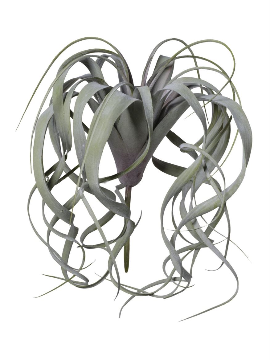 Art. Ramo Pianta Grassa Floccata Cm30 - White Gree