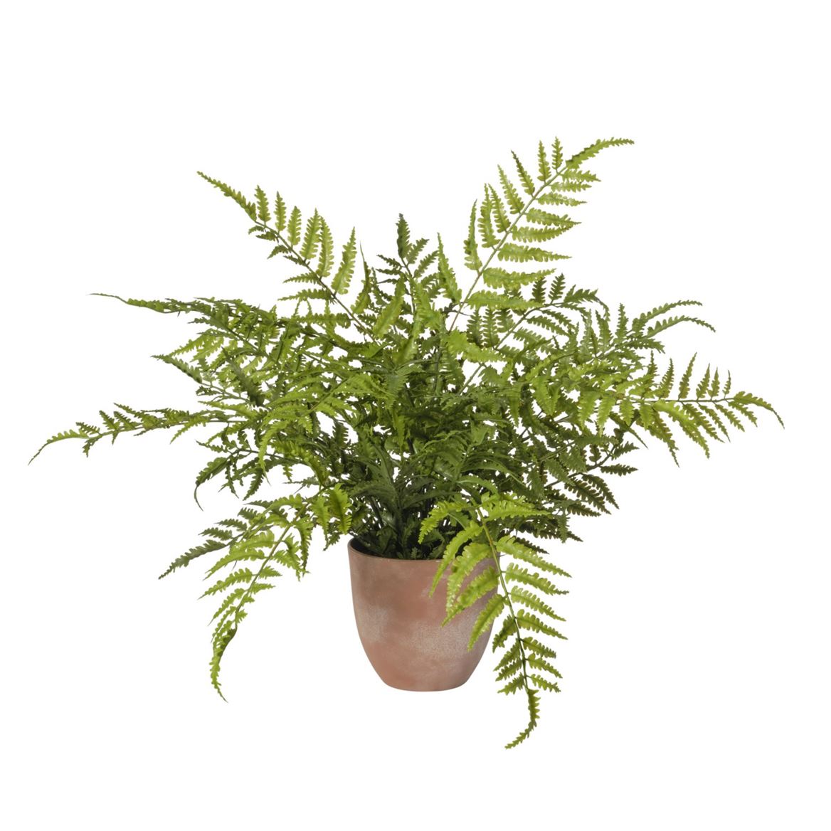 Art. Pianta Felce In Vaso 55x55x58cm - Green