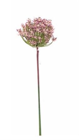 Art. Ramo Agapanthus 87cm - Pink