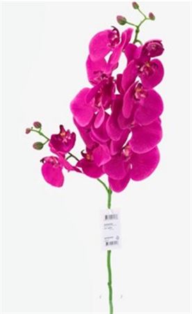Art. Ramo Phalaenopsis Orchid 140cm - Beauty