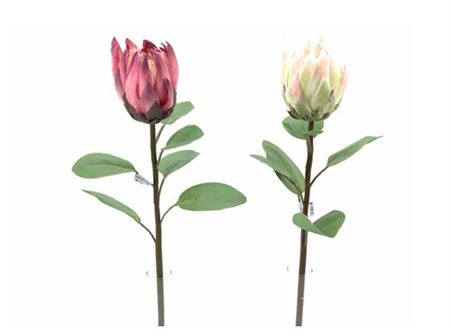 Art. Ramo Protea 67cm - Pink