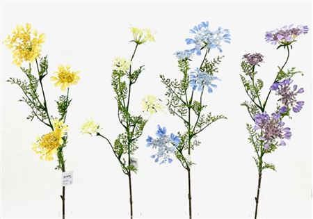 Art. Ramo Queen Ann Lace 96cm - White