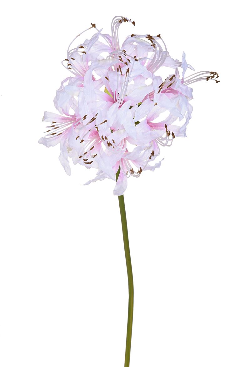 Art. Ramo Nerina Singola Cm65 White/lt.pink