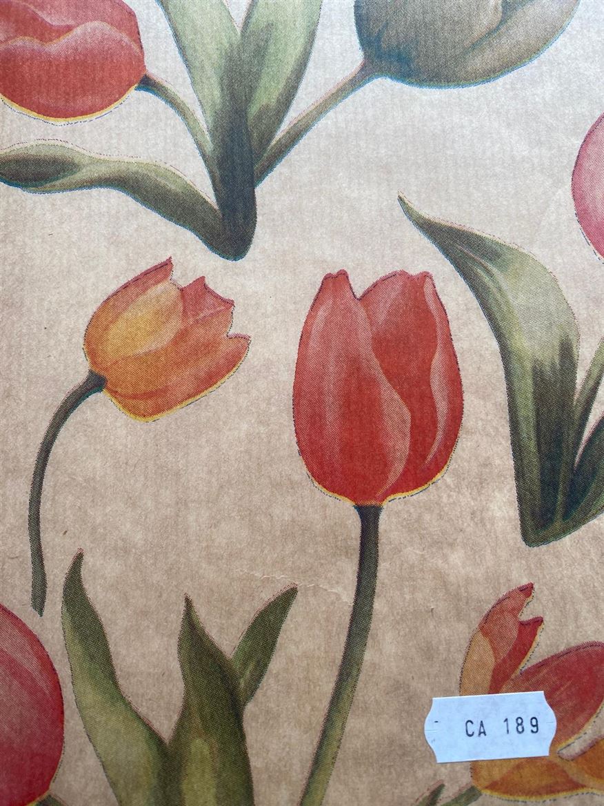 Rotolo Bob. Ekocarta Cm.100 X 25m - Tulipani