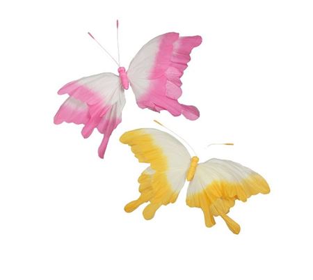 Deco. Farfalla Sfumata 2col. In Carta D.100cm
