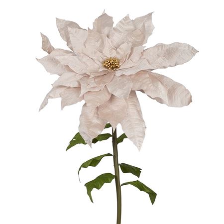 .xmas. Stella Natale Gigante D.100 H.200cm- Champ.