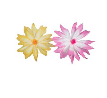 Deco. Fiori Sfumati 2 Col. In Carta D.100cm