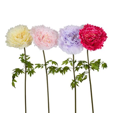 Art. Ramo Peonia Gigante Pol. D58 H140cm - 4 Col.