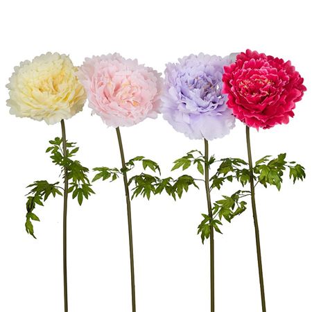 Art. Ramo Peonia Gigante Pol. D68 H170cm - 4 Col.