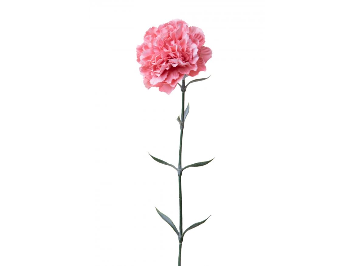 Art. Ramo Garofano H.67cm Pink