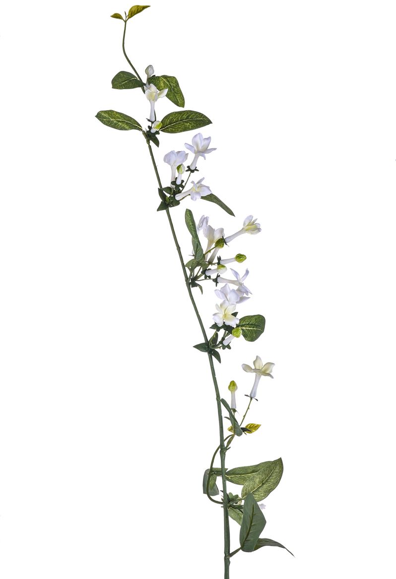 Art. Ramo Bouvardia Pendente 117cm White