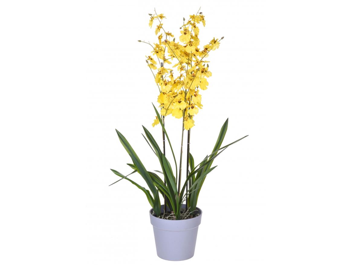 Art. Pianta Orchidea Oncidium X3 H.45cm Yellow
