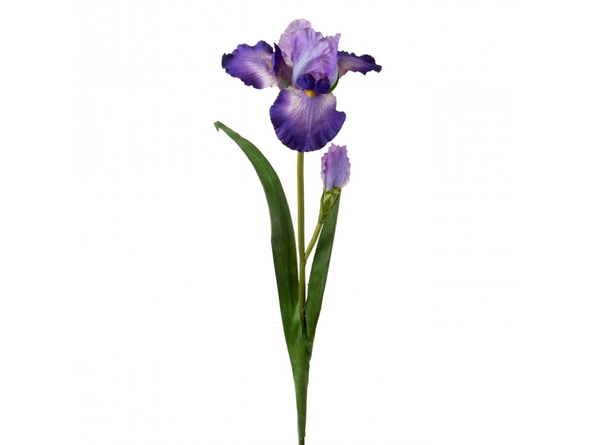 Art. Ramo Giaggiolo X2 H.95cm Violet