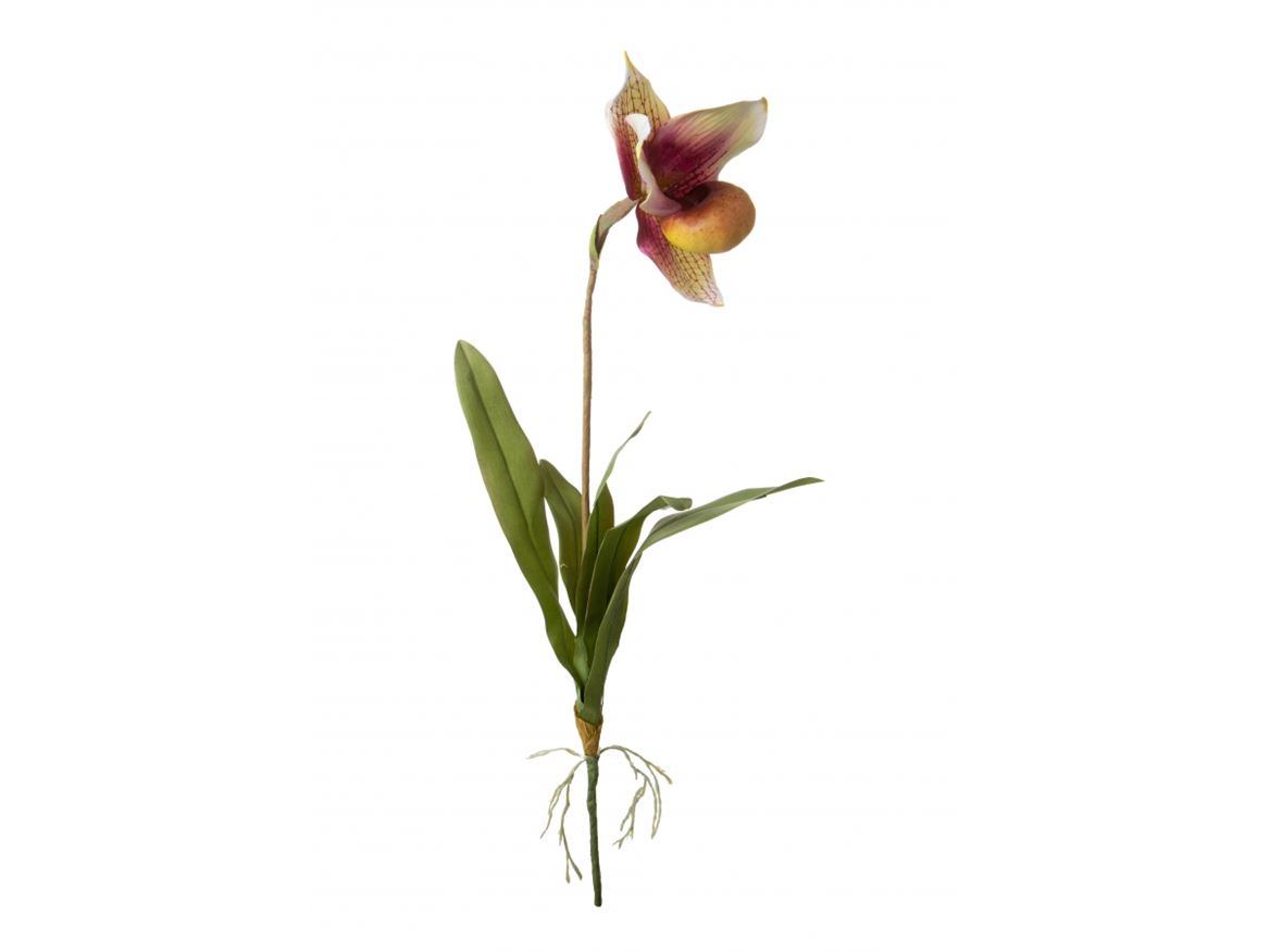 Art. Ramo Orchidea Scarpetta 64cm Con Foglie Pink