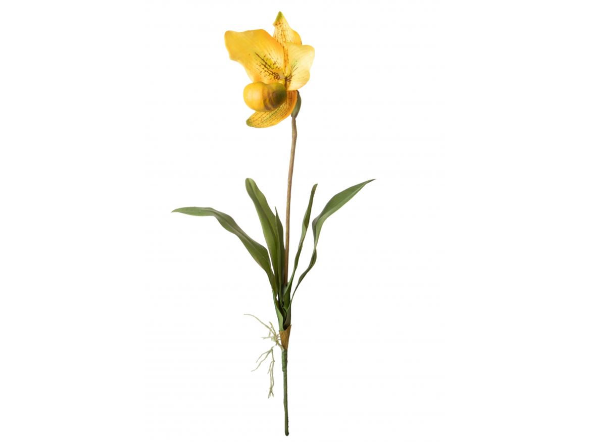 Art. Ramo Orchidea Scarpetta 64cm Con Foglie Yello