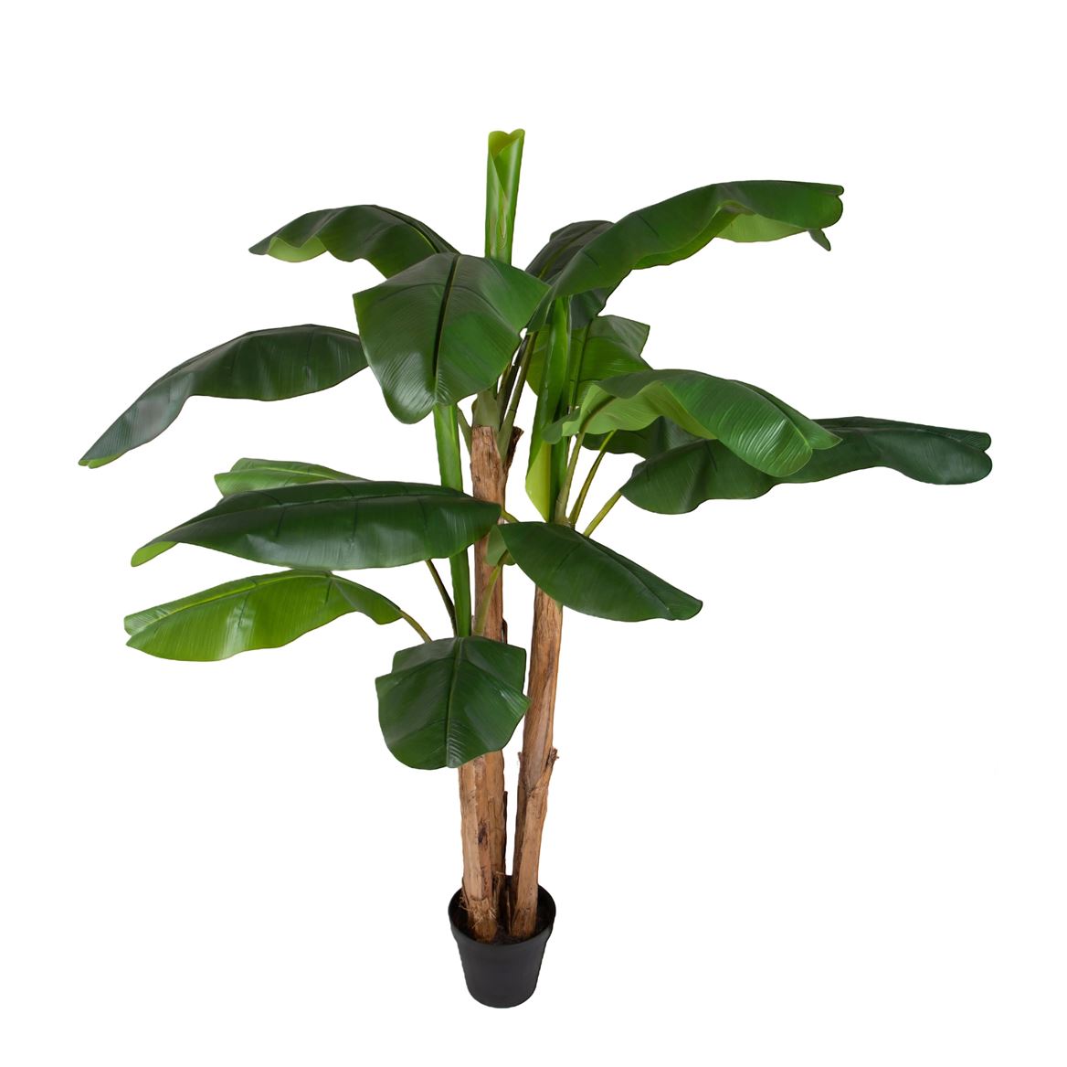 Art. Pianta Banano 240cm In Vaso