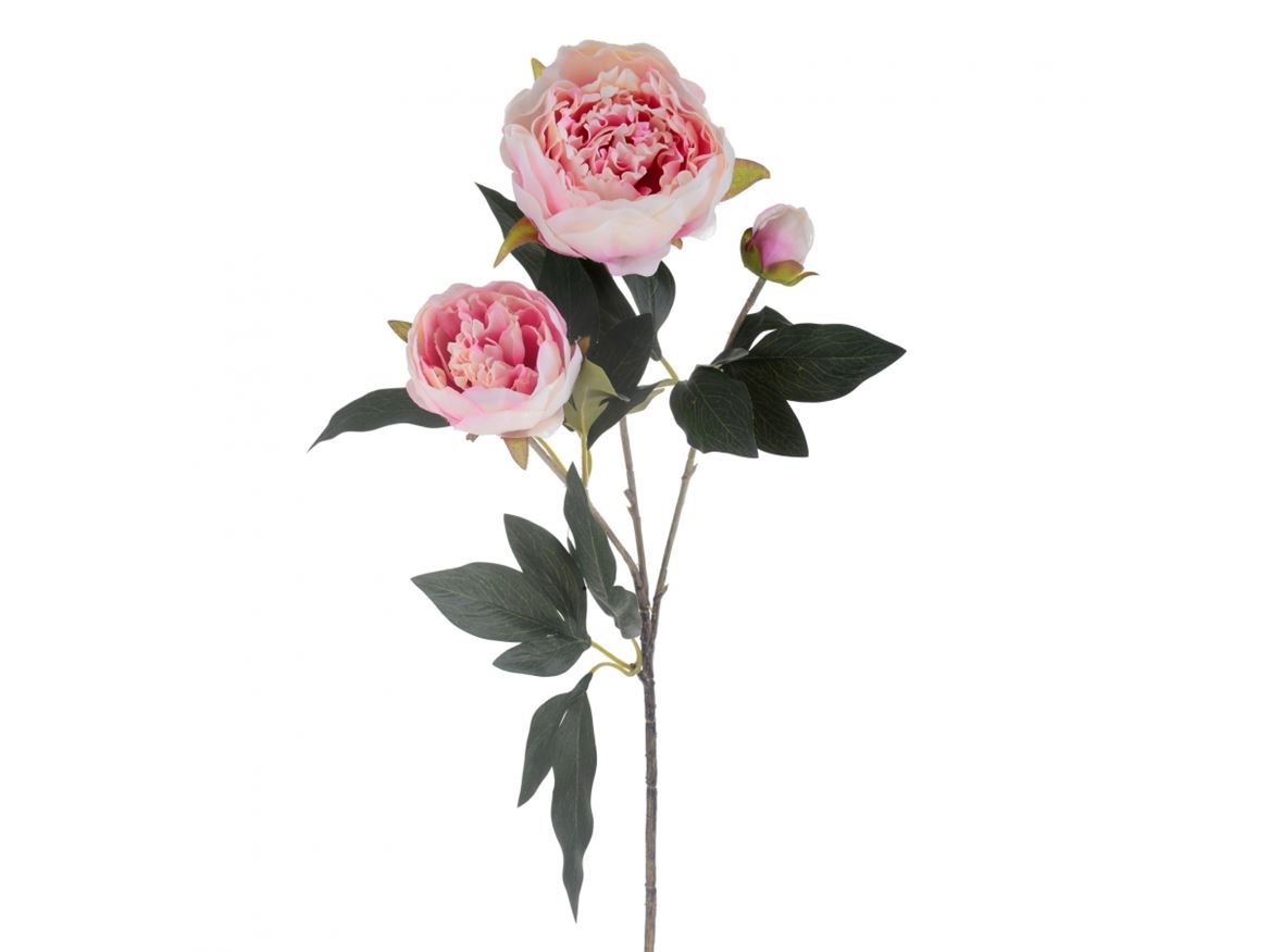 Art. Ramo Peonia X3 H.74cm Cream/mauve