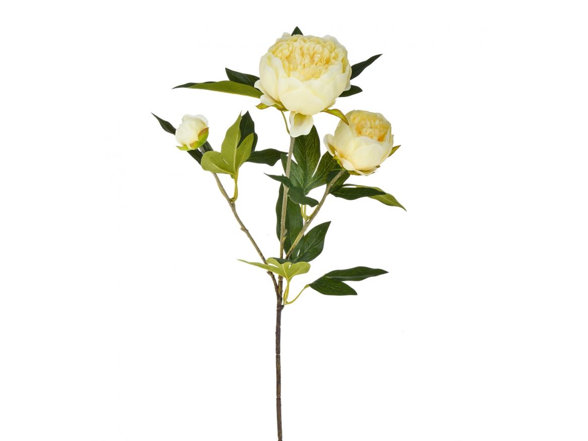 Art. Ramo Peonia X3 H.74cm Ivory
