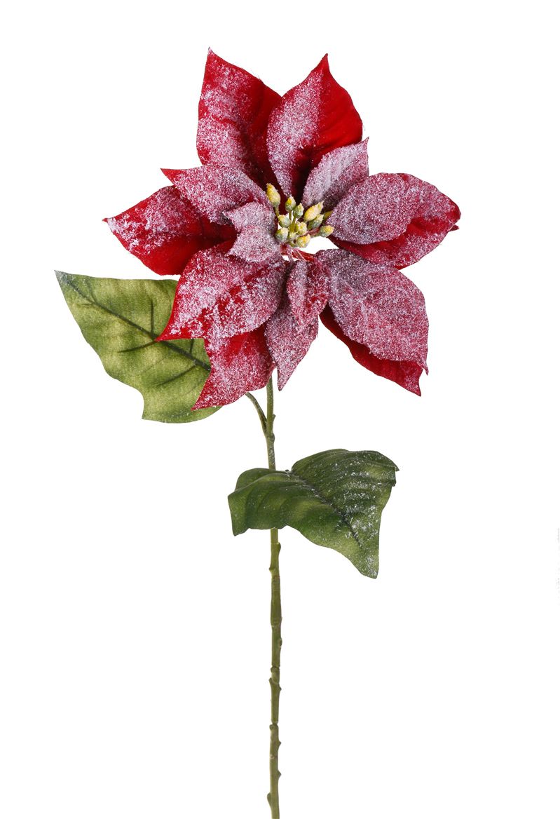.xmas. Ramo Stella Con Neve 72cm - Red