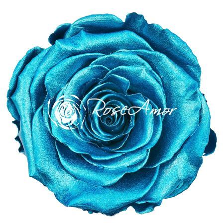 Preserved Rosa Ll Metallic Vio-03 Light Blue
