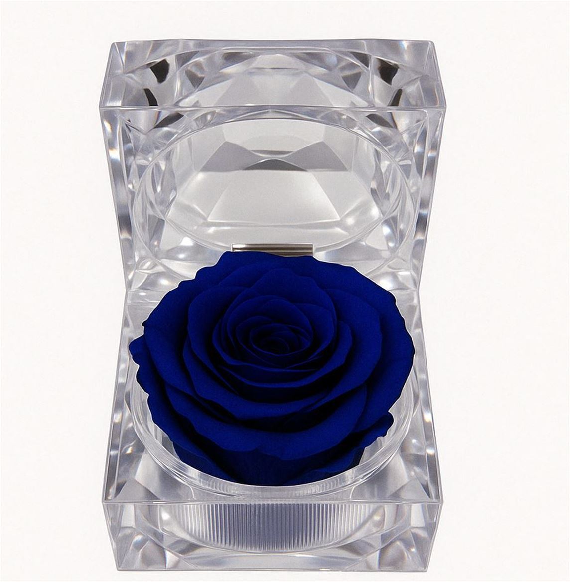 Preserved Rosa Jewel Box Blu 03 Profumata
