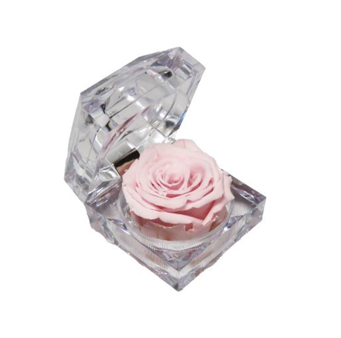 Preserved Rosa Jewel Box Pin 04 Profumata