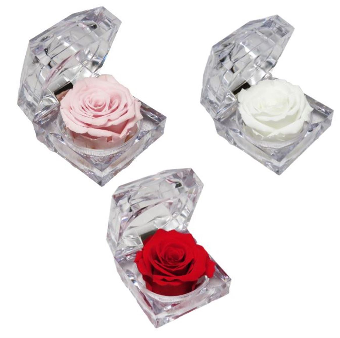 Preserved Rosa Jewel Box Mix Profumata