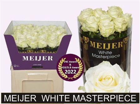 Rosa Large Avalanche+ Meijer White