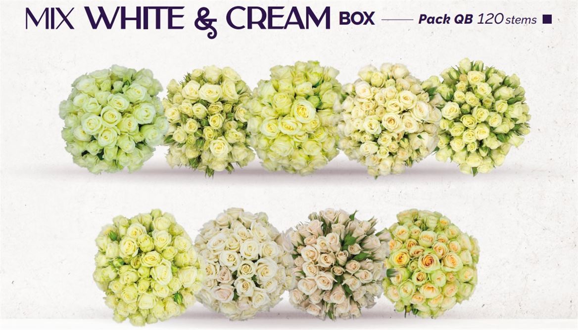 Rosa Spray Mix White & Cream Natuflor